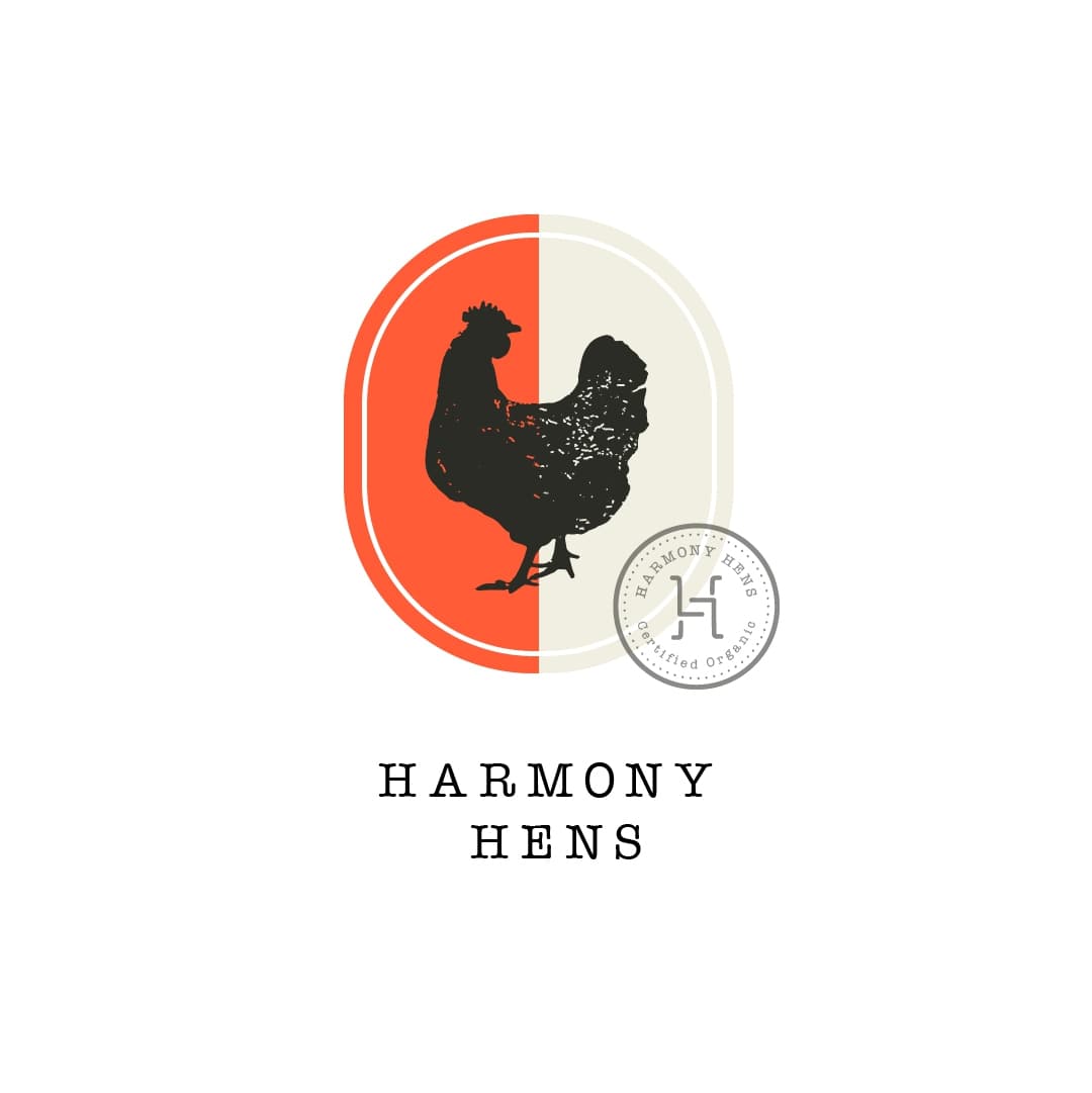 Logo and brand identity design 28 by Curious Factory